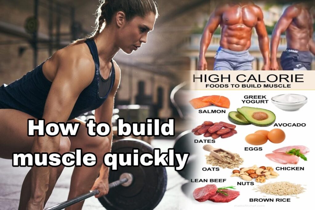 
wellhealth how to build muscle tag
