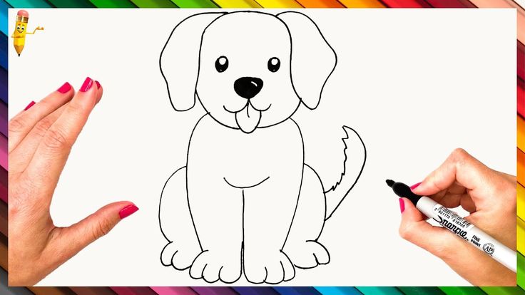 How to draw a dog